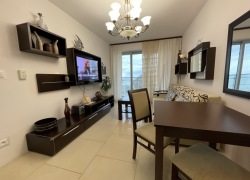 Pokój dzienny/ Wohzimmer
